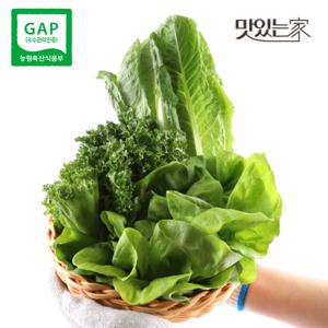 맛딜 GAP인증 당일수확 유러피안 샐러드 3-4종 유럽채소 1kg