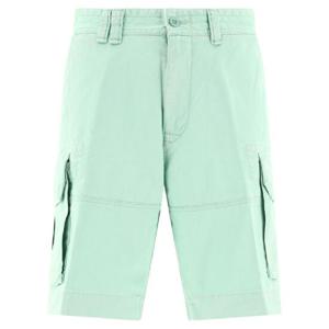 POLO RALPH LAUREN Gellar  cargo shorts 710867797005CELADON