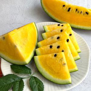 [더조은] 속 노란 망고수박 2.5kg 내외 (2통)