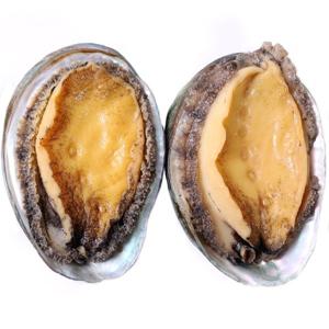 완도 자숙전복 700g내외(10~12마리) 손질전 1kg