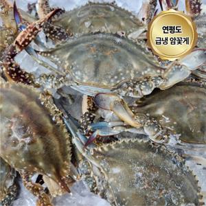 연평도 급냉 암꽃게 국내산 냉동꽃게 1kg (3-5미)