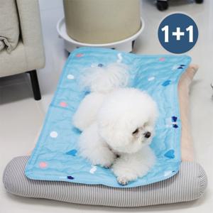 ★홈앤단독구성★ 마이또 강아지/고양이 쿨매트 중형 1+1