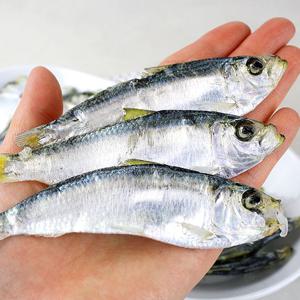 멸치 육수용 국멸치 남해안 청청바다 완도산 최상급 디포리(특) 1.5kg