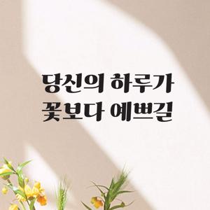 감성 글귀 카페 매장 현관문 벽 전실 인테리어 레터링 스티커