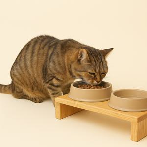 원목 반려동물 고양이 식탁 스탠드 받침대 강아지 선반 맞춤제작