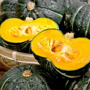 제주 미니 단호박 밤호박 보우짱 소과 3Kg (200g 미만)