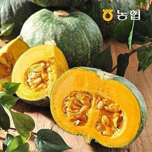 [자연맛남]농협선별 영암 단호박 5kg (10-12입)