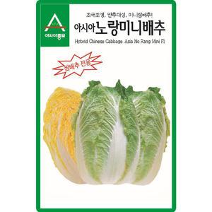 아시아종묘 노랑미니배추 씨앗 1000립 초극조생 미니배추씨 종자