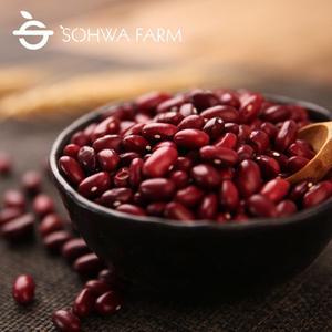 [소화농장] 2024년 강낭콩 1kg (홍대 적강낭콩)
