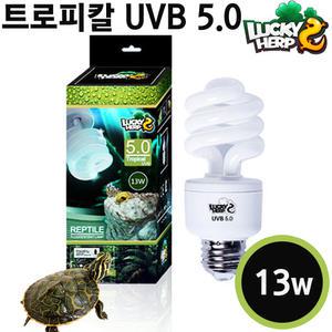 럭키허프 트로피칼 UVB 5.0 램프 13/26w / 전구 조명 열대 파충류 거북이 이구아나 도마뱀 비어드드래곤 뱀