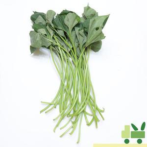 고구마 줄기 1kg