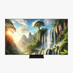 삼성전자 OLED TV KQ55SD90AFXKR 스탠드형
