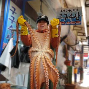 구구수산 포항 수협지정중매인 자숙 참문어 3kg 피문어