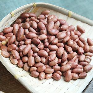 [맛군]24년 황토밭에서 자란 국내산 햇 땅콩 볶음 알땅콩 500g