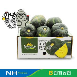 [한경농협] 제주 미니밤호박 단호박 보우짱 2kg 3kg 5k