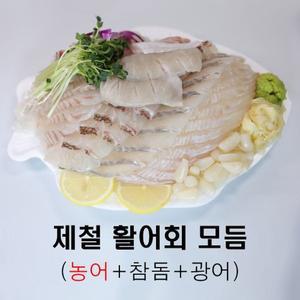 [노다지수산]제철모듬회 [농어+광어+참돔] 활어 모듬회 1kg