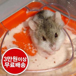 햄스터 목욕모래/화장실 골라