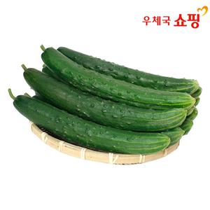 [우체국쇼핑] 푸드빌리지 아삭아삭 수분가득 취정 오이/ 백다다기 오이