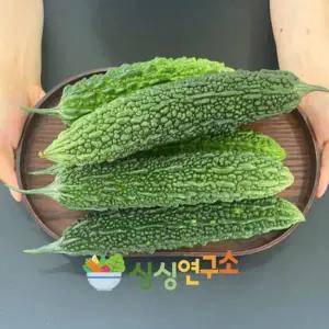 [싱싱연구소][새벽수확 상품] 경남거창 햇 여주 5kg 생여주
