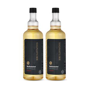 불스원 불스원샷 시그니처 500ml, 휘발유, 2개