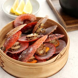 [롯데백화점]오초록 바다담음 통영 비단 가리비 1kg(20-30미 내외)