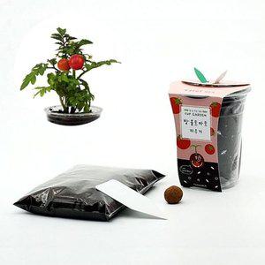 식물관찰 풀세트 투명화분 방울토마토 미니 키우기 (WFH3QA9)