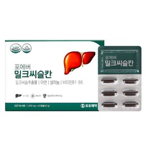 밀크시슬  실리마린 지방 간장 간 피곤할때 수치 약2달분 영양제