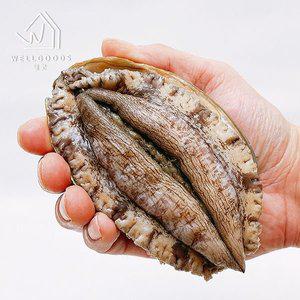 갤러리아 [웰굿] 진도직송 명품 활 전복 1kg(8-10미,특대,손질칼)