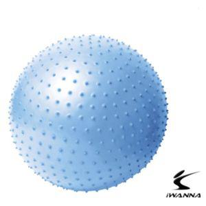 다-이어트 마사지 짐볼 65cm 알라스칸블루 테스볼 아이워너마사지