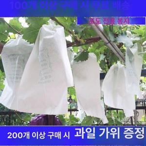 포도 봉투 포장지 방충 대량 과일 봉지 거봉 종이복숭아