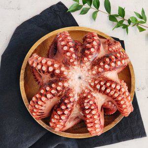 자숙 문어 1kg