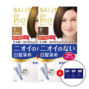 일본 살롱드프로 무향료 간편한 셀프 세치 커버 뿌리 머리염색 흰머리 새치 염색약 여성 2개