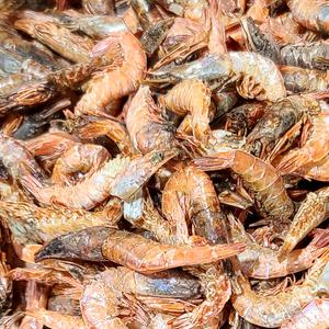 먹새우 500g 무료배송 국산 건새우 마른 새우 흑새우 국물용 쪽빛누리