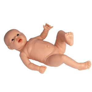[ERLER ZIMMER] 신생아 간호 실습모형 BA100/BA101 - 무게 1.3kg