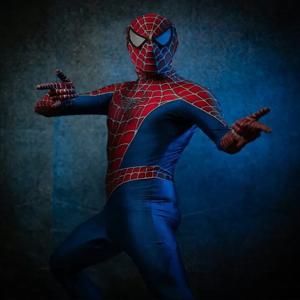 할로윈 클래식 Raimi 스파이더 맨 코스프레 의상 3D 인쇄 성인 Zentai Suit Spiderhero Bodysuit