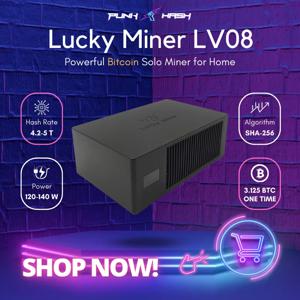 Lucky Miner LV 08 비트코인 채굴 Lucky Miner Lv08 단독 채굴기 BTC 채굴기 BCH BSV DGB WIFI 4.2TH/S SHA256 BM1366 암호화폐 채굴기
