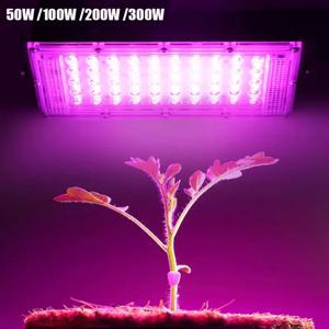 식물에 대 한 Phytolamp 50W 100W 200W 300W Uv 램프 전체 스펙트럼 식물 Led 온실 꽃 씨앗에 대 한 빛 실내 재배 성장