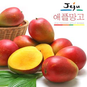 [올찬농산] 제주 애플망고 3kg 5~6과 상품/왕특대