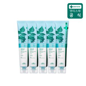 기능성치약 뉴센서티브케어 200g 5개