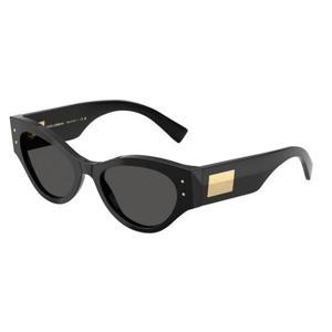 돌체앤가바나 선글라스 DG4480 501 87 Black