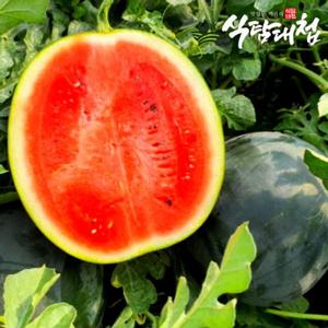 식탐대첩 국내산 하우스 꿀 흑수박 5-6kg