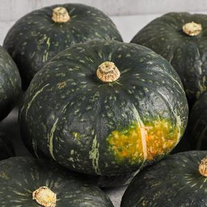 [신선하랑] 포근한 식감의 국내산 단호박 10kg 대 (6-9수)