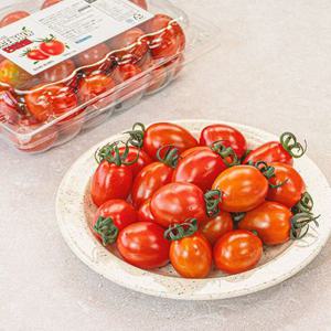 부여 천연 제로칼로리 달콤 스테비아 방울 토마토 2kg (500gx4팩)