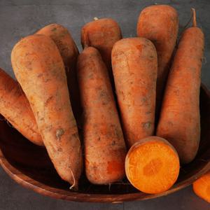 [오늘신선] 산지직송 국내산 당근 1kg/3kg/5kg /10kg