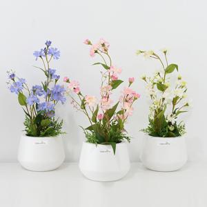 수레국화 조화 소품