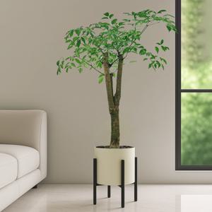해피트리 블랙 메탈스탠드 개업화분 거실화분 플랜테리어 실내공기정화식물 인테리어식물