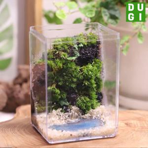 제주애기모람 호수 테라리움 만들기 DIY 키트