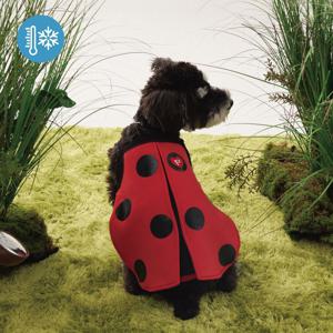 마이 러블리 레이디버그 끈나시_LADYBUG