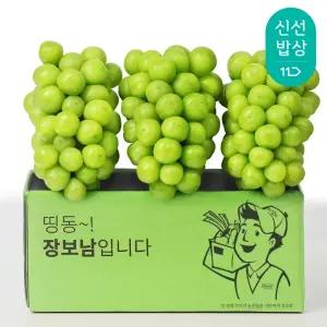 초당도 품질 끝판 고당도 샤인머스켓 정품 2수 3수
