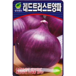 [영농사]레드트러스트 양파씨앗 4g 적양파씨앗